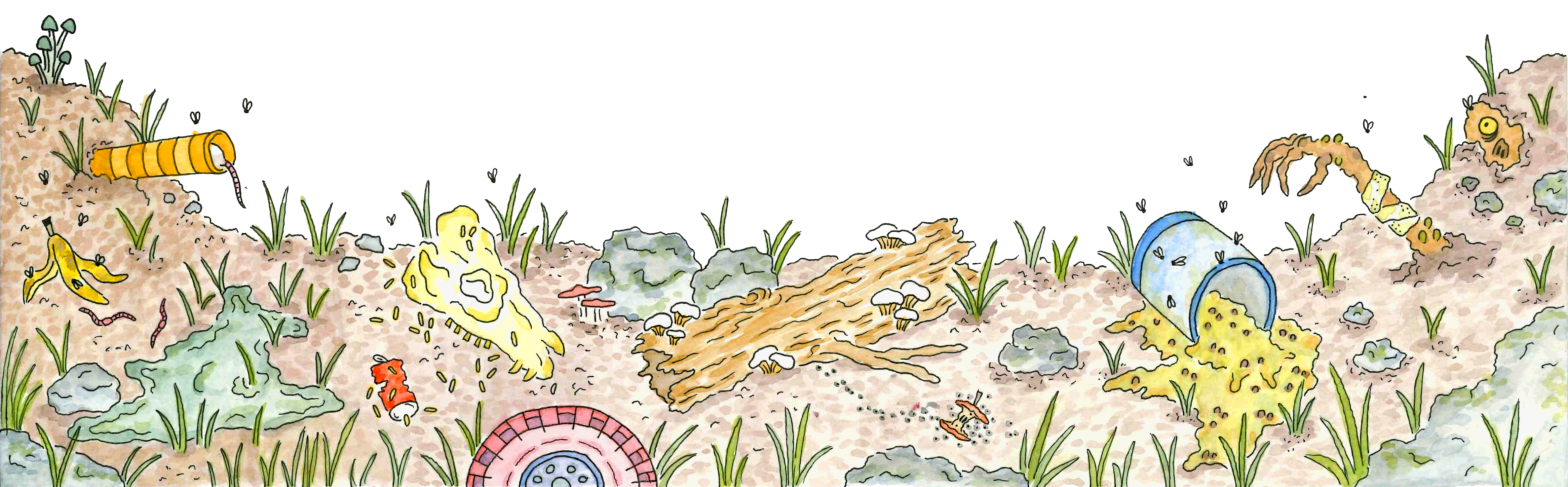 Footer image